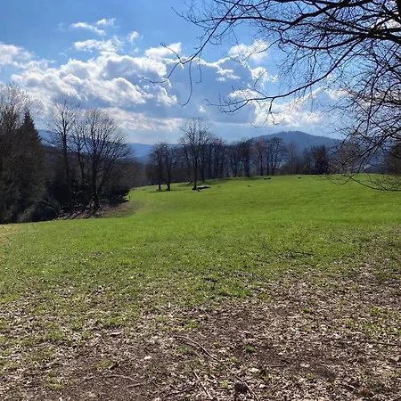 U Brabantika * Desná